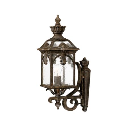A large image of the Acclaim Lighting 7101 Black Coral