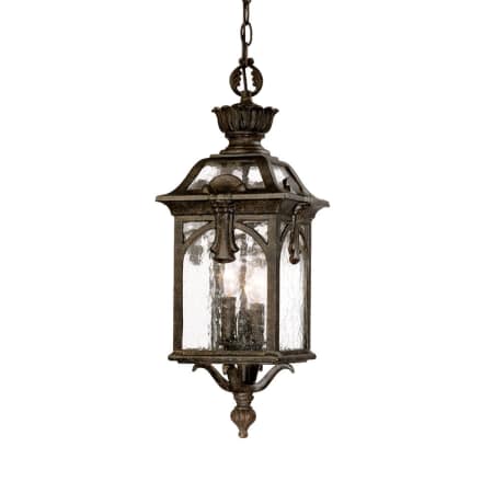 A large image of the Acclaim Lighting 7116 Black Coral