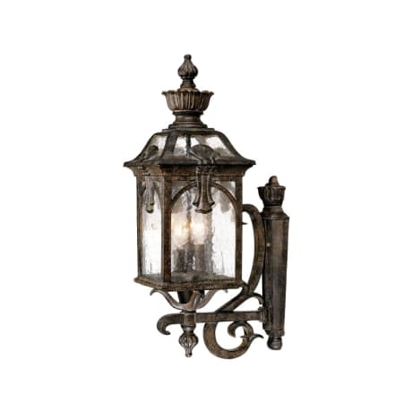 A large image of the Acclaim Lighting 7121 Black Coral