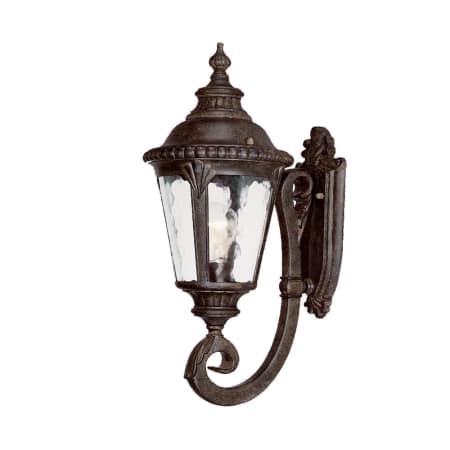 A large image of the Acclaim Lighting 7201 Black Coral