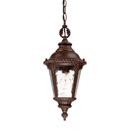 A large image of the Acclaim Lighting 7206 Black Coral