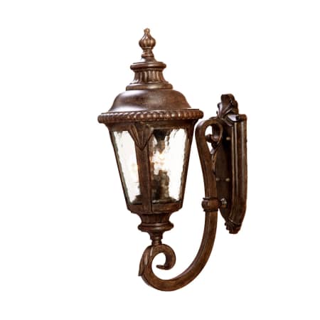A large image of the Acclaim Lighting 7211 Black Coral