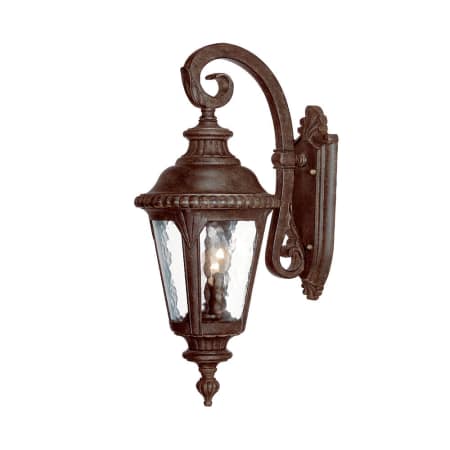 A large image of the Acclaim Lighting 7212 Black Coral
