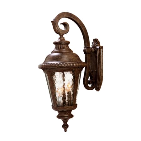 A large image of the Acclaim Lighting 7222 Black Coral