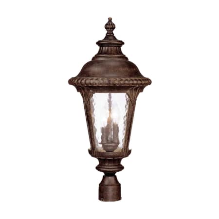 A large image of the Acclaim Lighting 7227 Black Coral