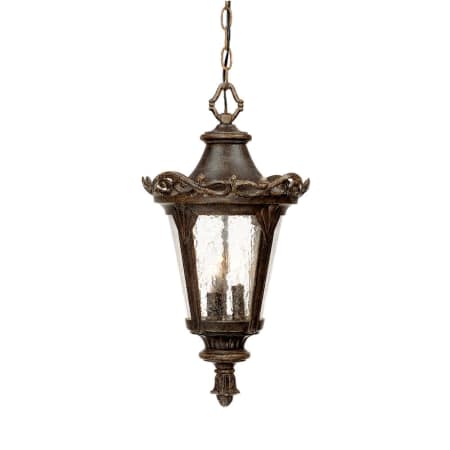 A large image of the Acclaim Lighting 7416 Black Coral