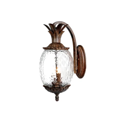 A large image of the Acclaim Lighting 7502 Black Coral