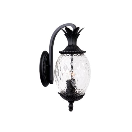 A large image of the Acclaim Lighting 7502 Matte Black