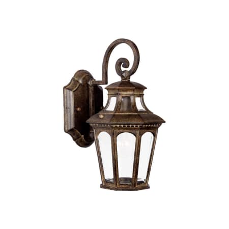 A large image of the Acclaim Lighting 9502 Black Coral