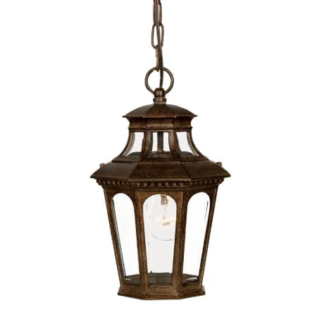 A large image of the Acclaim Lighting 9516 Black Coral