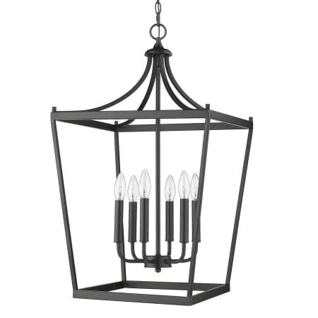 A large image of the Acclaim Lighting IN11134 Matte Black