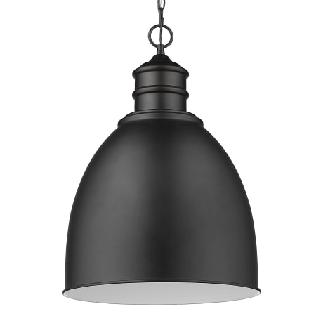 A large image of the Acclaim Lighting IN11170 Matte Black
