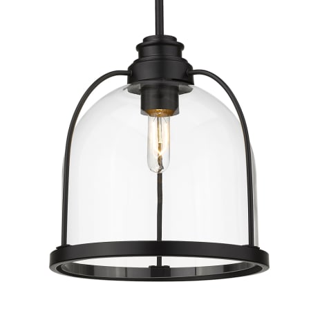 A large image of the Acclaim Lighting IN21300 Matte Black