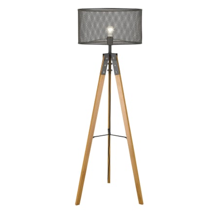 A large image of the Acclaim Lighting TF70060 Alternate View