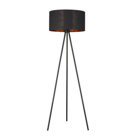 A large image of the Acclaim Lighting TF70095 Matte Black