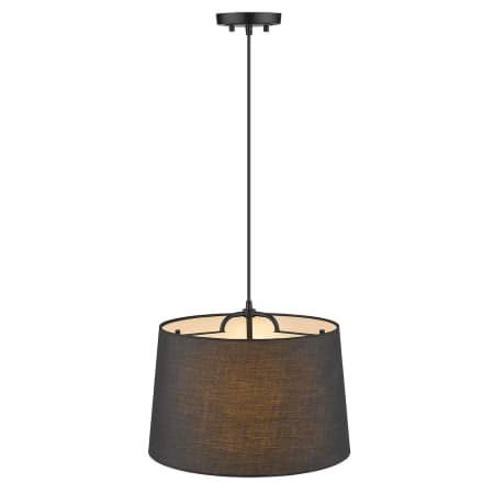 A large image of the Acclaim Lighting TP30030 Alternate View