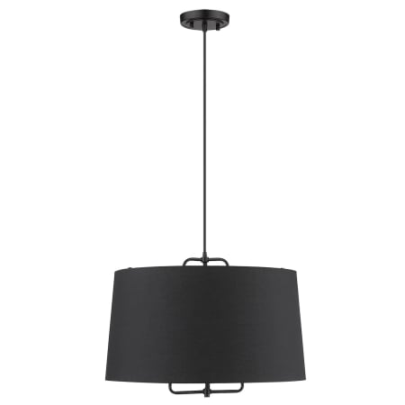 A large image of the Acclaim Lighting TP30031 Alternate View