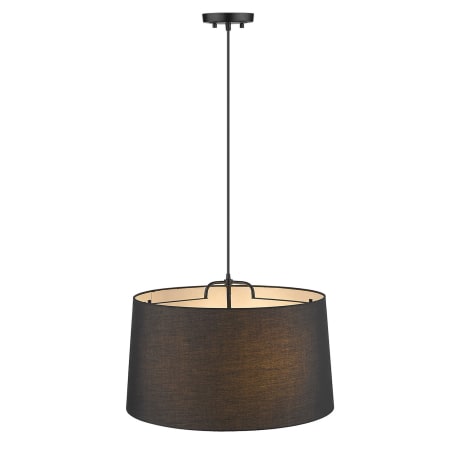 A large image of the Acclaim Lighting TP30031 Alternate View