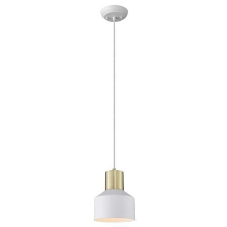 A large image of the Acclaim Lighting TP30065 Alternate View