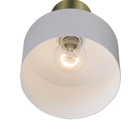 A large image of the Acclaim Lighting TP30065 Alternate View