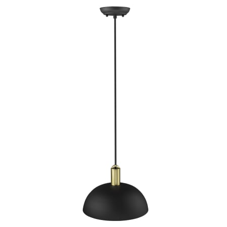 A large image of the Acclaim Lighting TP30100 Alternate View