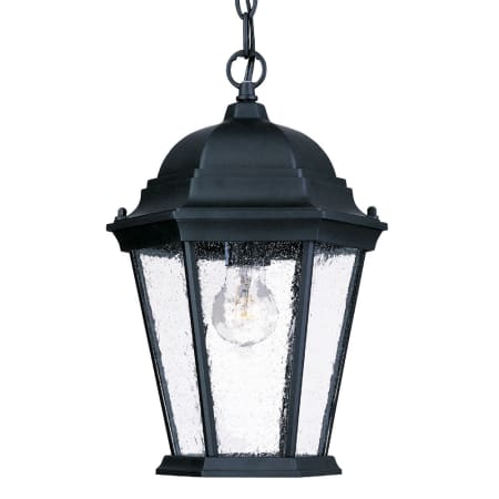 A large image of the Acclaim Lighting 5206 Matte Black / Clear Seeded Glass