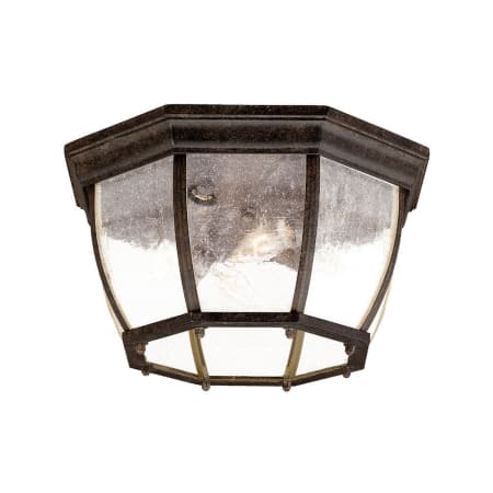 A large image of the Acclaim Lighting 5603 Black Coral / Clear Seeded Glass