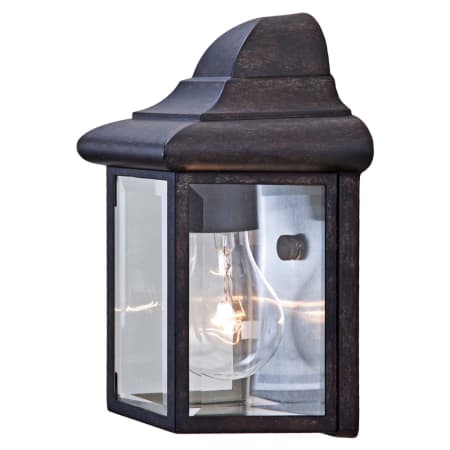 A large image of the Acclaim Lighting 6001 Black Coral