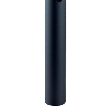 A large image of the Acclaim Lighting C348-12 Matte Black