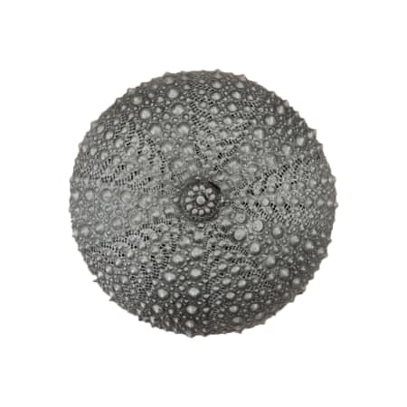 A large image of the Acorn Manufacturing DP7 Antique Pewter
