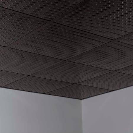 A large image of the ACP L66 ACP L66
