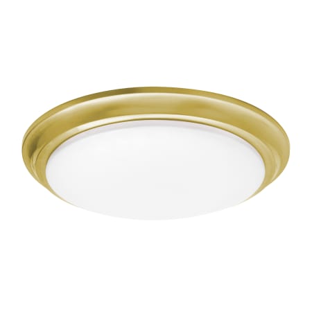 A large image of the AFX BRNF14LAJD1 Satin Brass / Frosted
