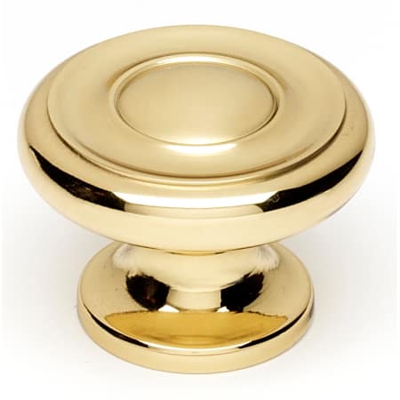A large image of the Alno A1050 Polished Brass