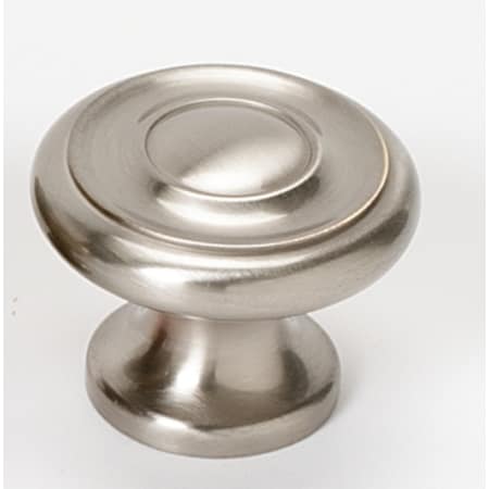 A large image of the Alno A1050 Satin Nickel