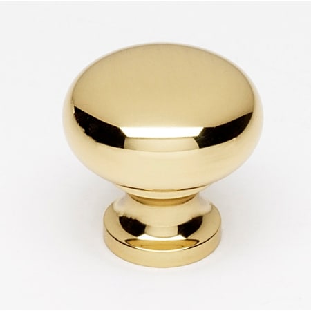 A large image of the Alno A1067 Polished Brass