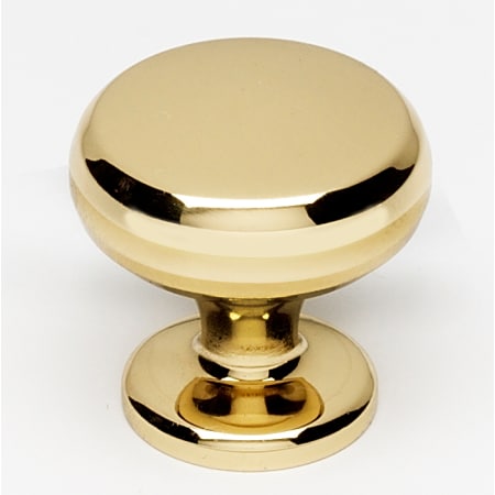 A large image of the Alno A1173 Polished Brass