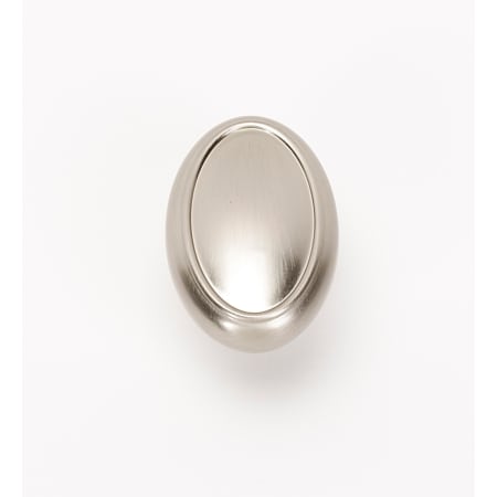 A large image of the Alno A1560 Satin Nickel