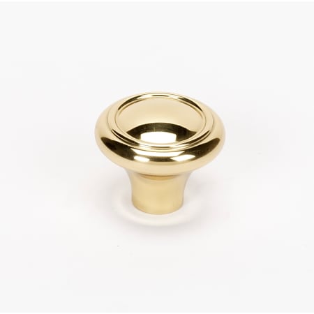 A large image of the Alno A1561 Polished Brass