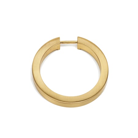 A large image of the Alno A2660-2 Satin Brass