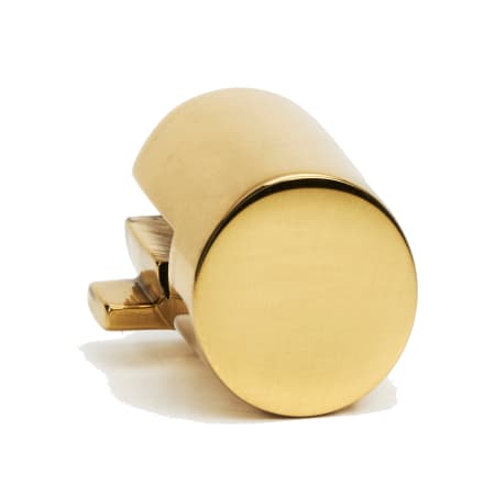 A large image of the Alno A2660 Polished Brass