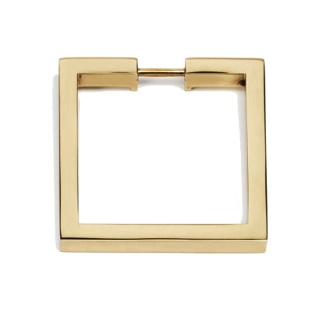 A large image of the Alno A2670-2 Unlacquered Brass