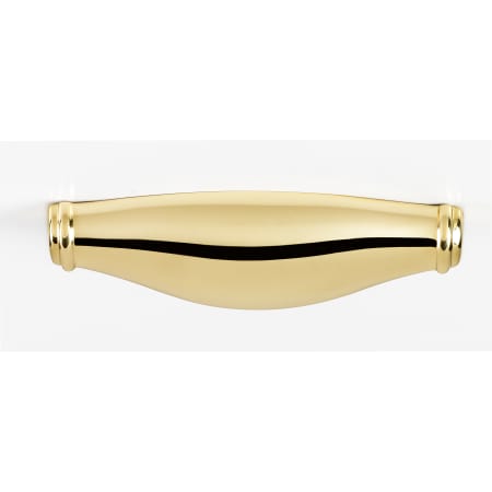 A large image of the Alno A626-4 Polished Brass