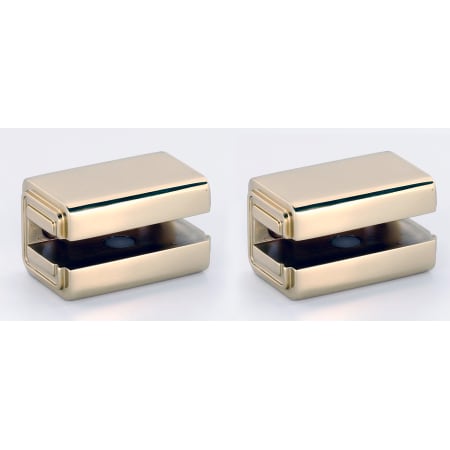 A large image of the Alno A6550 Polished Brass