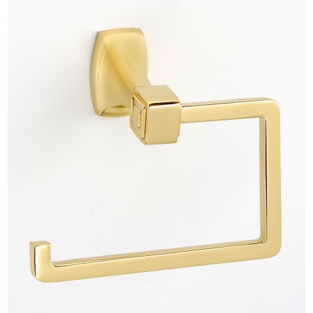 A large image of the Alno A6566 Polished Brass