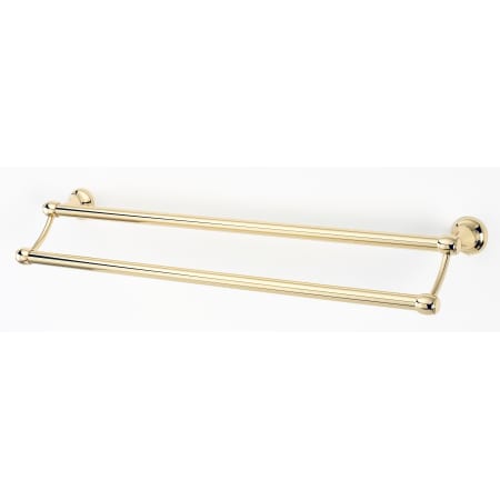 A large image of the Alno A6625-24 Polished Brass