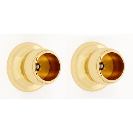 A large image of the Alno A6646 Polished Brass