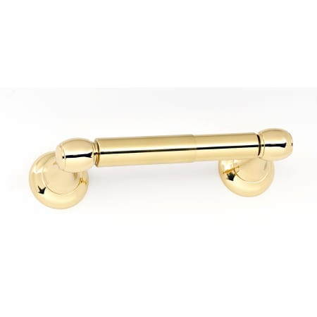 A large image of the Alno A6660 Polished Brass