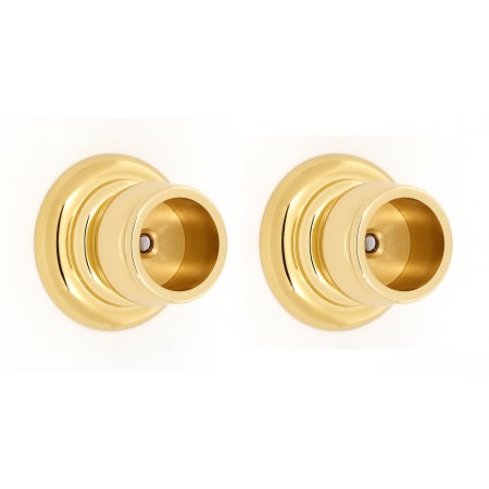 A large image of the Alno A6746 Polished Brass