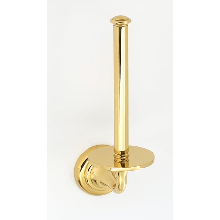 A large image of the Alno A6767 Polished Brass