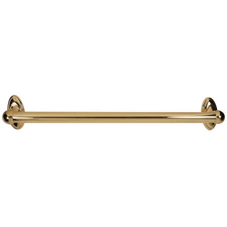 A large image of the Alno A8022-24 Polished Brass